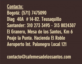 contacto pagina contacto pagina