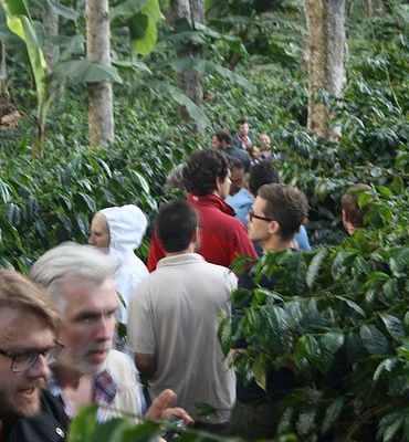 Cupping Extravaganza - Café Mesa de los Santos