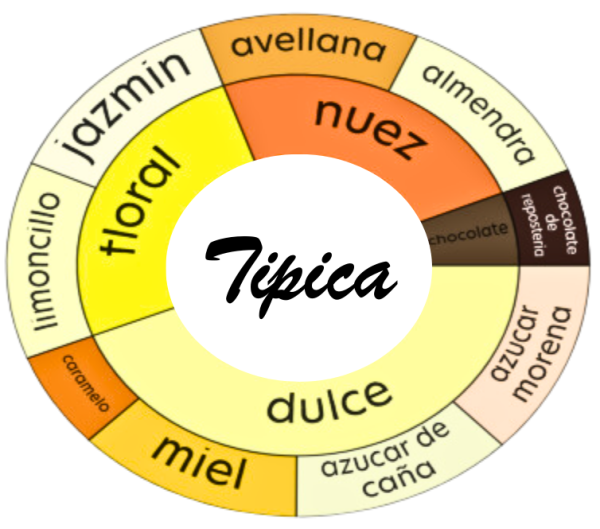 Típica x 454 gr. - Estuche de lujo - Imagen 2