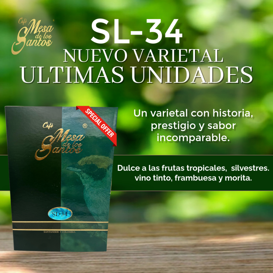 SL-34 x 200gr // POCAS UNIDADES